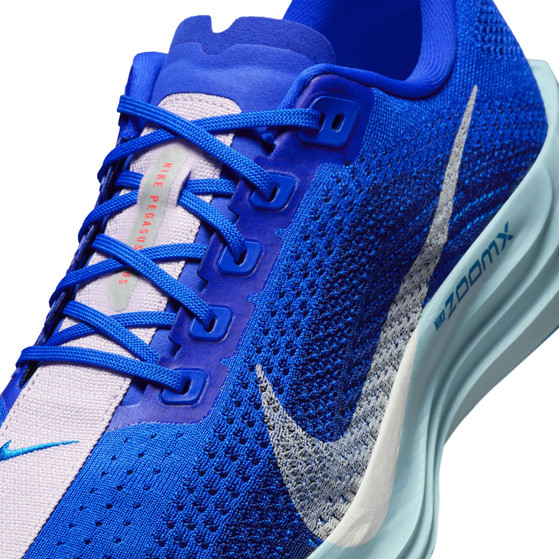 Nike Pegasus Plus CM Herren