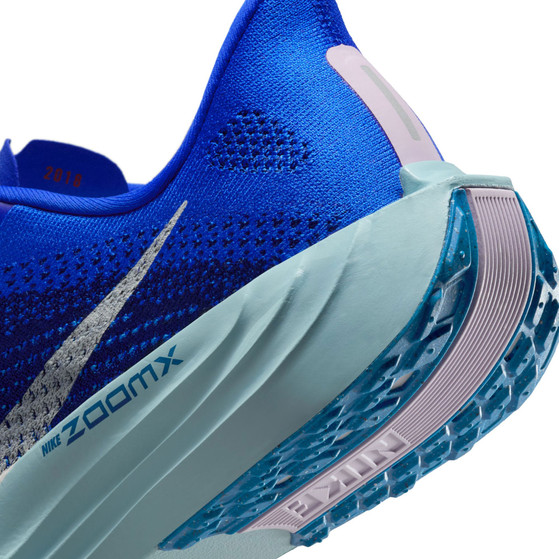Nike Pegasus Plus CM Herren