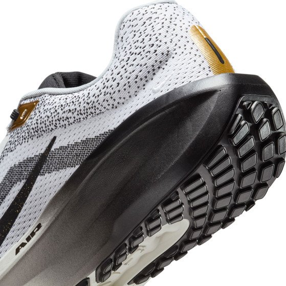 Nike Winflo 11 SE Herren