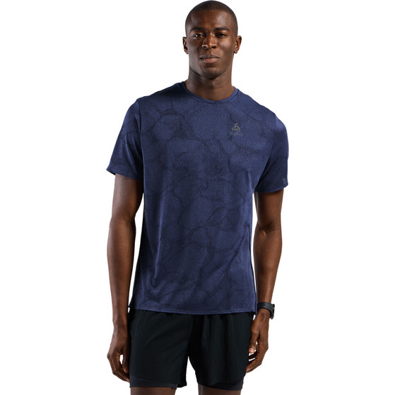 Odlo ZeroWeight Crew Neck Chilltec T-Shirt Heren