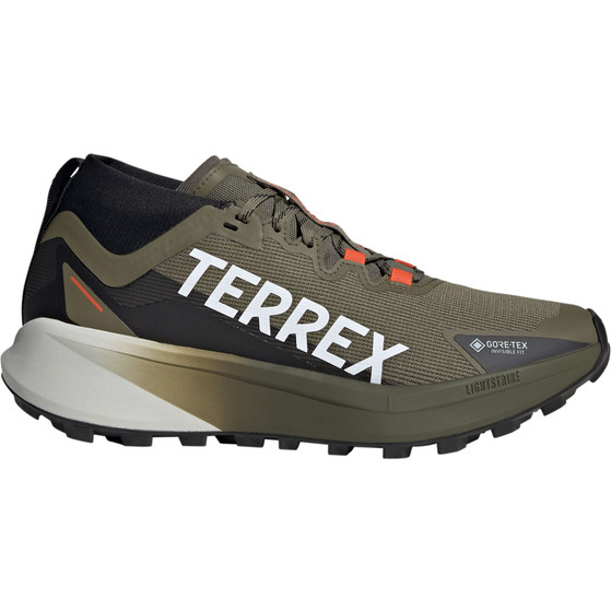 adidas Terrex Agravic GTX Heren