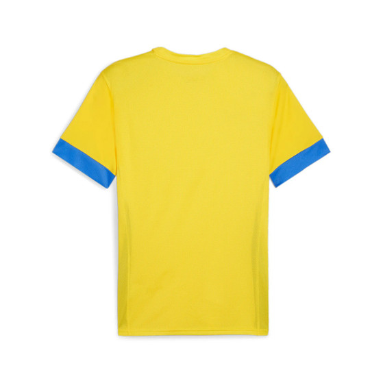 PUMA GOAL Träningströja