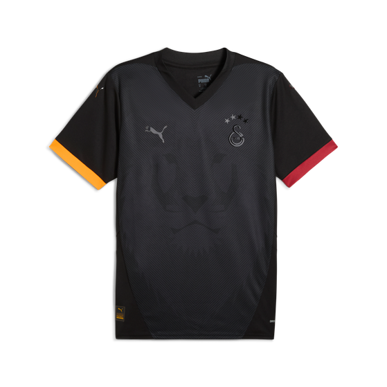 Puma Galatasaray Special Edition Shirt 2024/2025