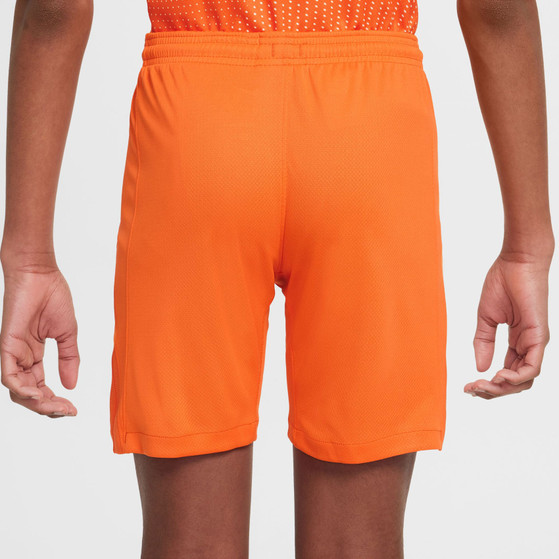 Nike Nederland Thuis Tenue Kids