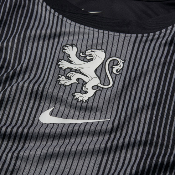 Nike Nederland Heim Torwart-Shirt Damen