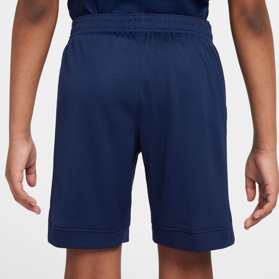 Nike Paris Saint-Germain Thuis Tenue Kids
