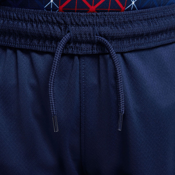 Nike Paris Saint-Germain Thuis Tenue Kids