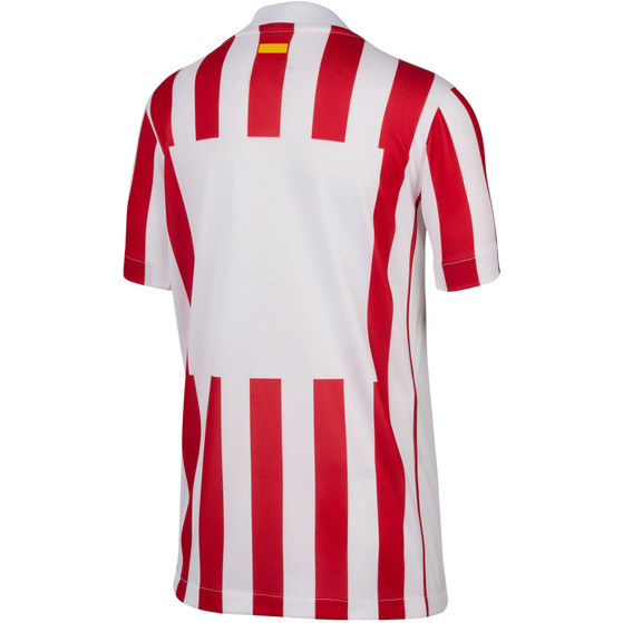 Nike Atletico Madrid Thuis Tenue Kids 2025/2026
