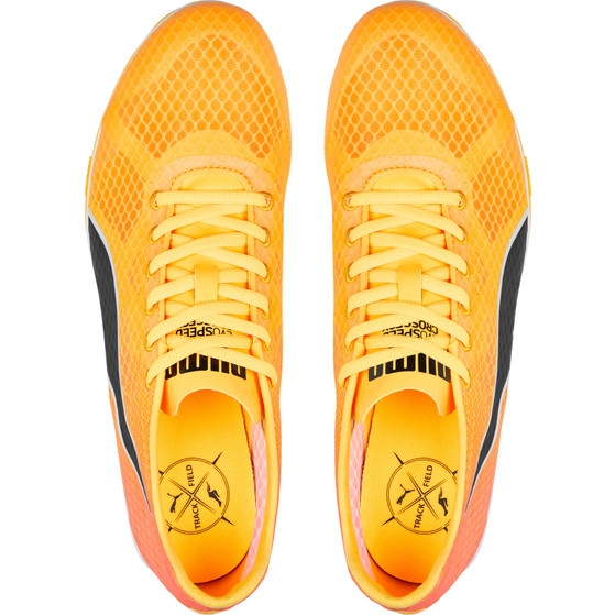 PUMA evoSPEED Crossfox 4