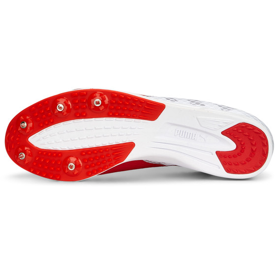 PUMA evoSPEED Distance 11 Herren