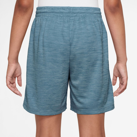 Nike Gradient Shorts Pojkar
