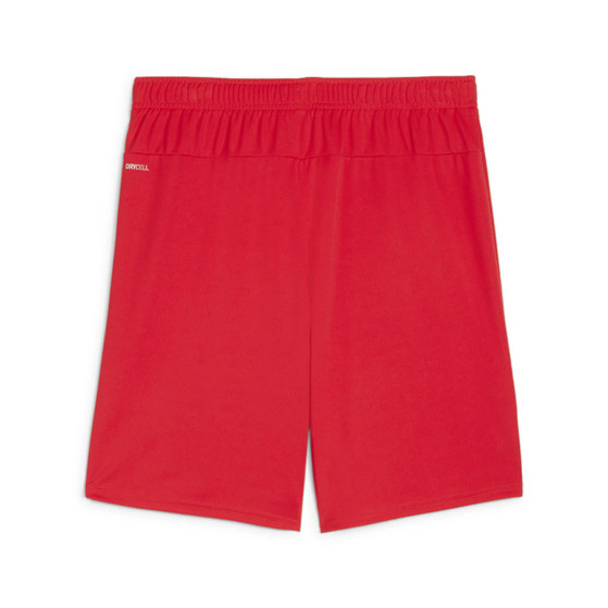 Puma GOAL Training Short