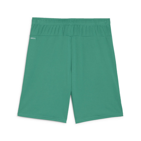 Puma GOAL Training Short