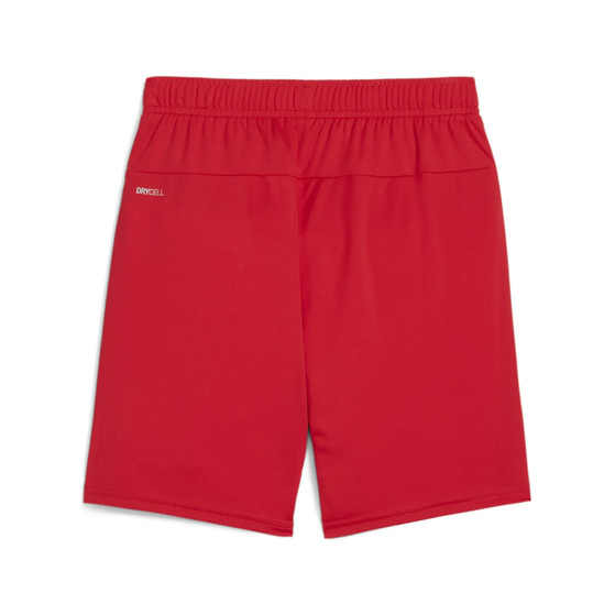 Puma GOAL Training Shorts Barn