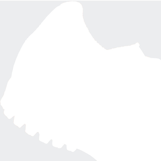 adidas Younstar R Velcro Junior