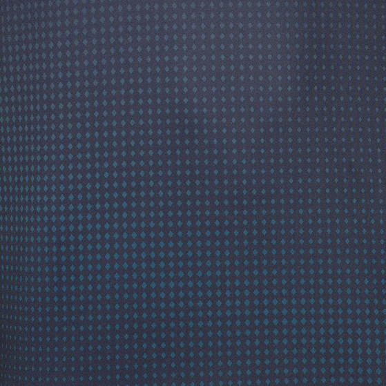 JDH Graphic Shirt Herren