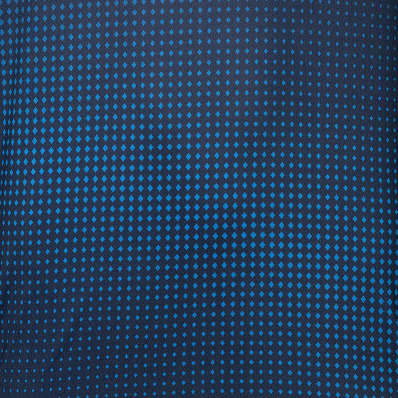 JDH Graphic Shirt Heren