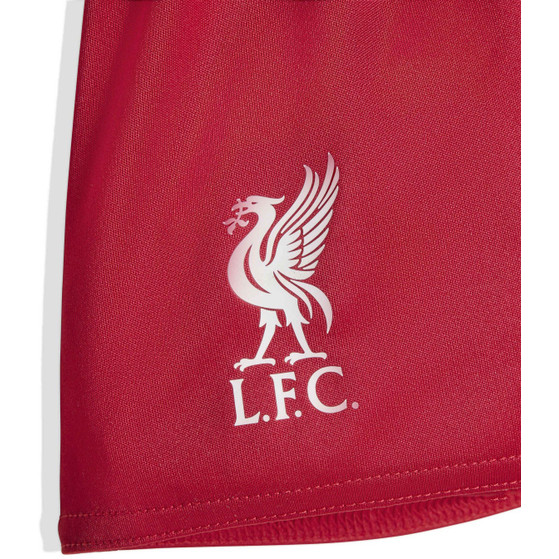 adidas Liverpool Thuis Tenue Baby 2025/2026