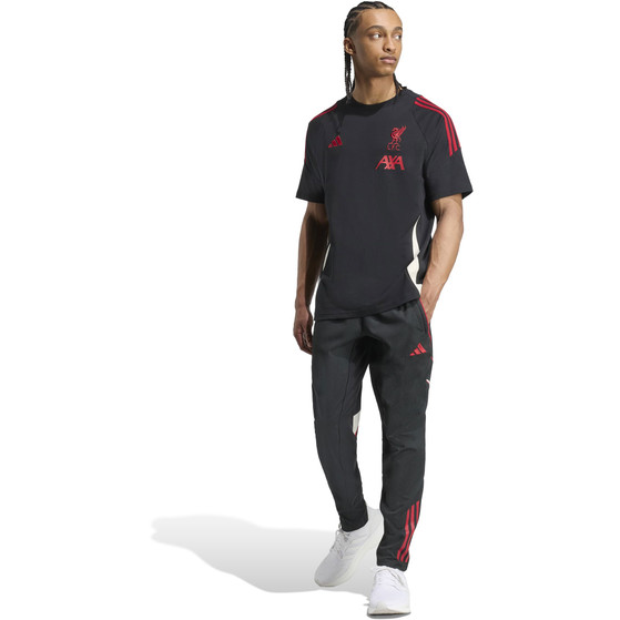 adidas Liverpool Tee 2025/2026