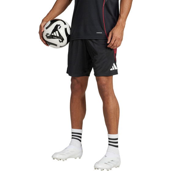 adidas Ajax Trainingsset