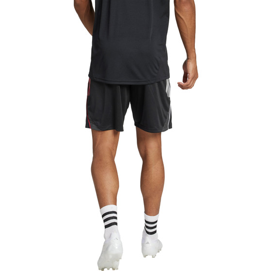 adidas Ajax Trainingsset