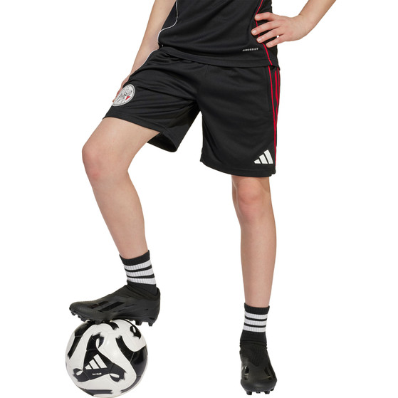 adidas Ajax Träningsset Barn