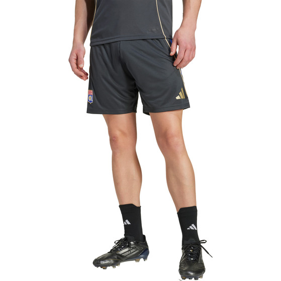adidas Olympique Lyon Training Set