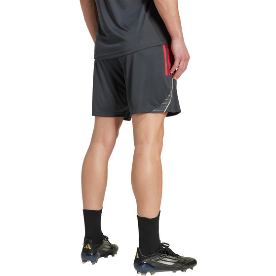 adidas Olympique Lyon Training Set