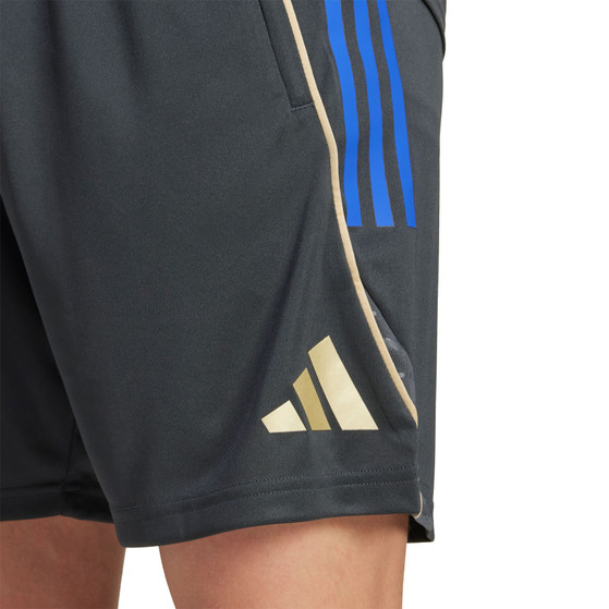 adidas Olympique Lyon Training Set