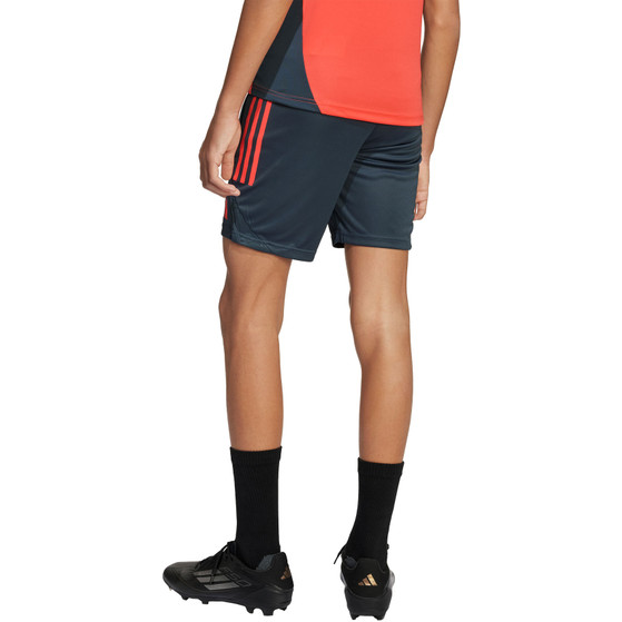 adidas Bayern München Trainingsset Kids
