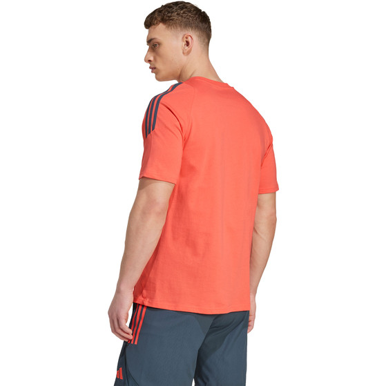 adidas Bayern München Tee 2025/2026