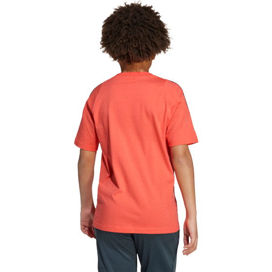 adidas Bayern München T-shirt Barn 2025/2026