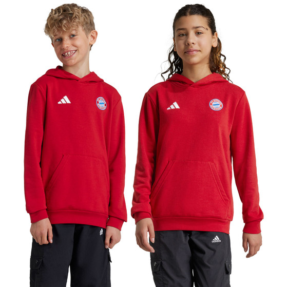 adidas Bayern Munich DNA Hoody Kids