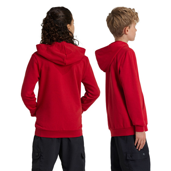 adidas Bayern Munich DNA Hoody Kids