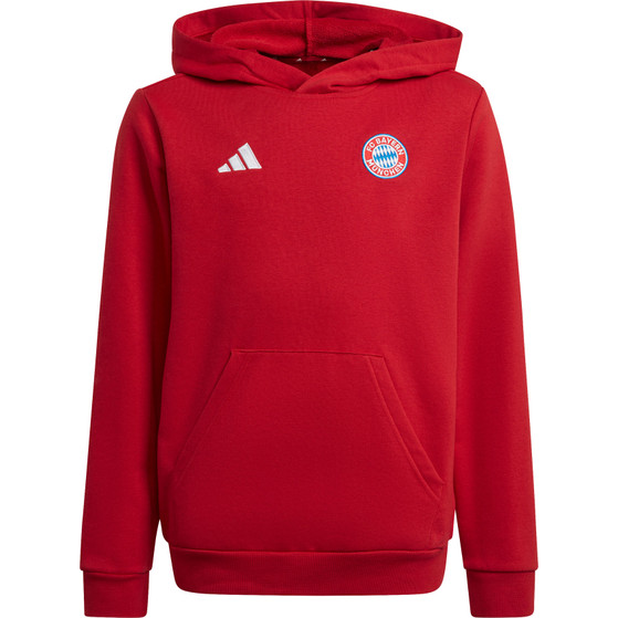 adidas Bayern Munich DNA Hoody Kids