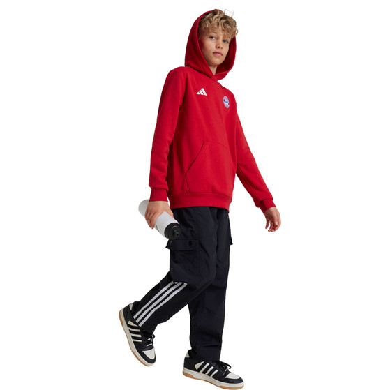 adidas Bayern Munich DNA Hoody Kids