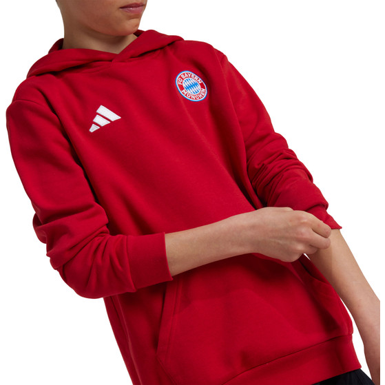 adidas Bayern Munich DNA Hoody Kids