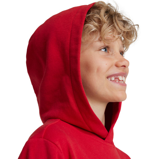adidas Bayern Munich DNA Hoody Kids