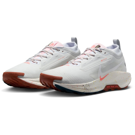 Nike Pegasus Trail 5 GTX Heren
