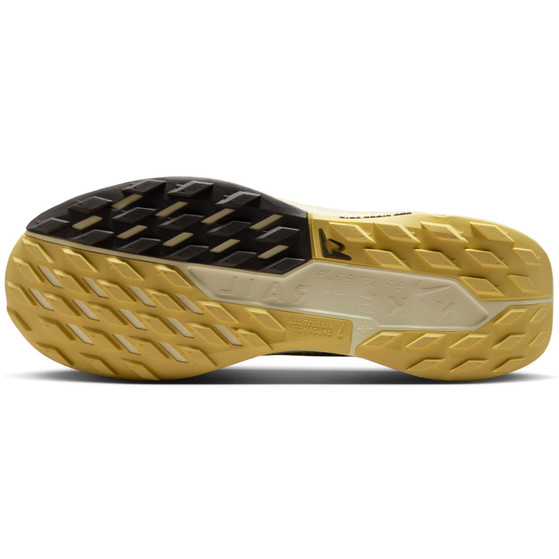 Nike Pegasus Trail 5 GTX Heren