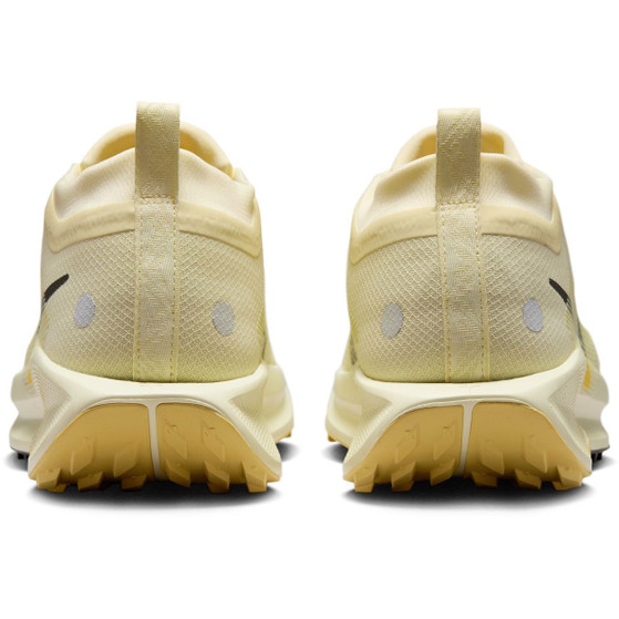 Nike Pegasus Trail 5 GTX Heren