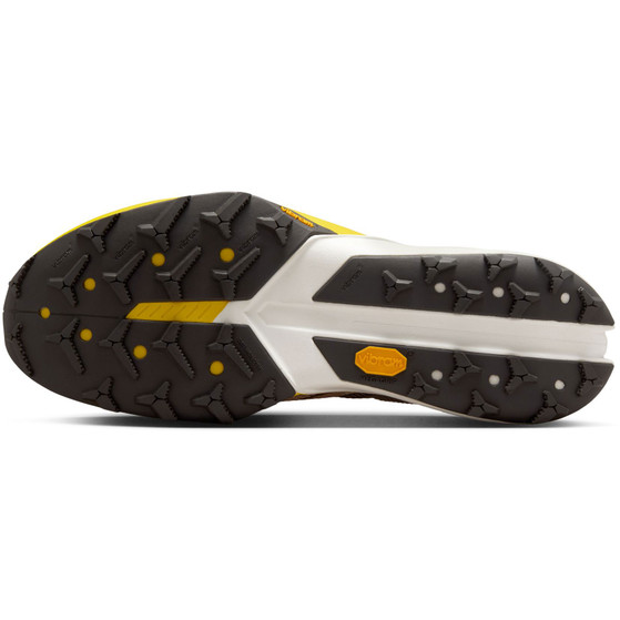 Nike Terra Kiger 10 Heren