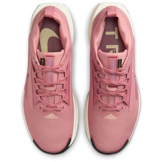 Nike Pegasus Trail 5 GTX Dames