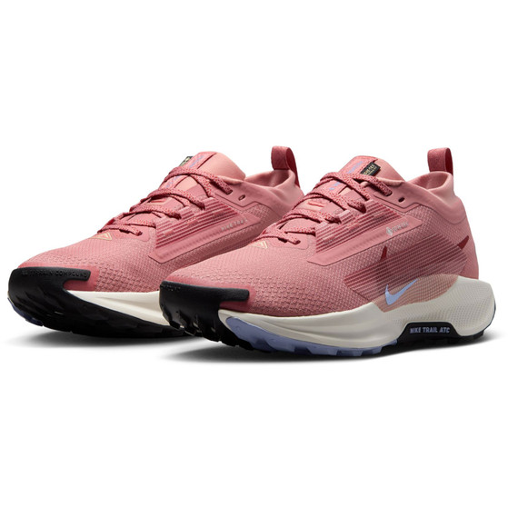 Nike Pegasus Trail 5 GTX Dames