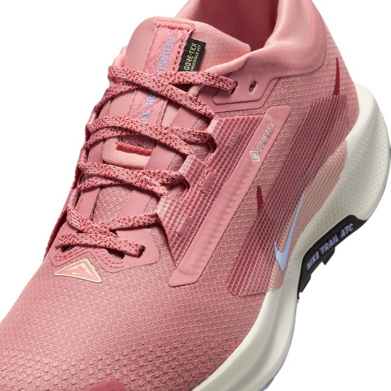Nike Pegasus Trail 5 GTX Dames