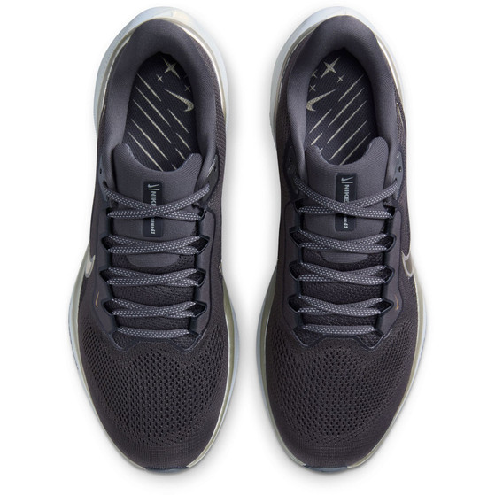 Nike Pegasus 41 JI Men