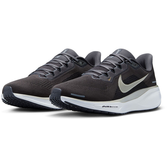 Nike Pegasus 41 JI Men