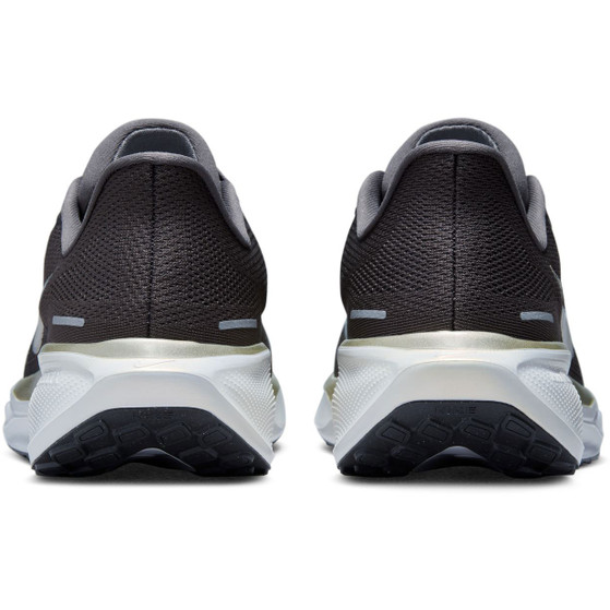 Nike Pegasus 41 JI Men