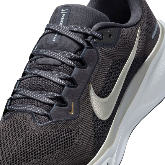 Nike Pegasus 41 JI Men