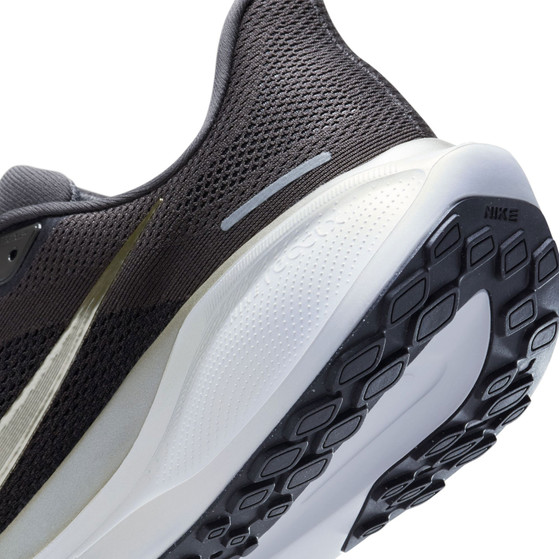 Nike Pegasus 41 JI Men